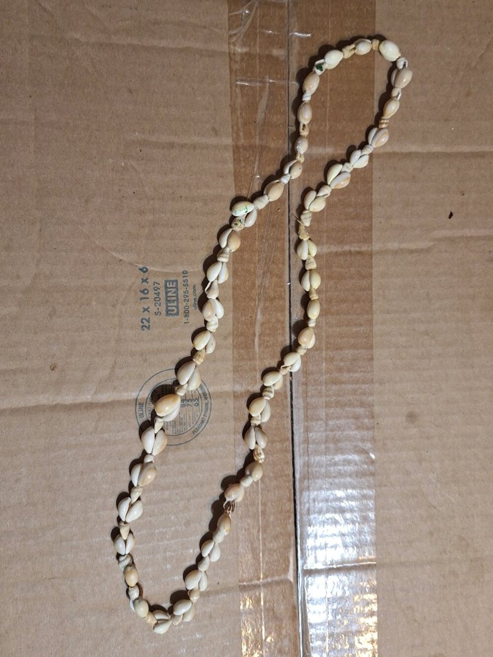 shell necklace